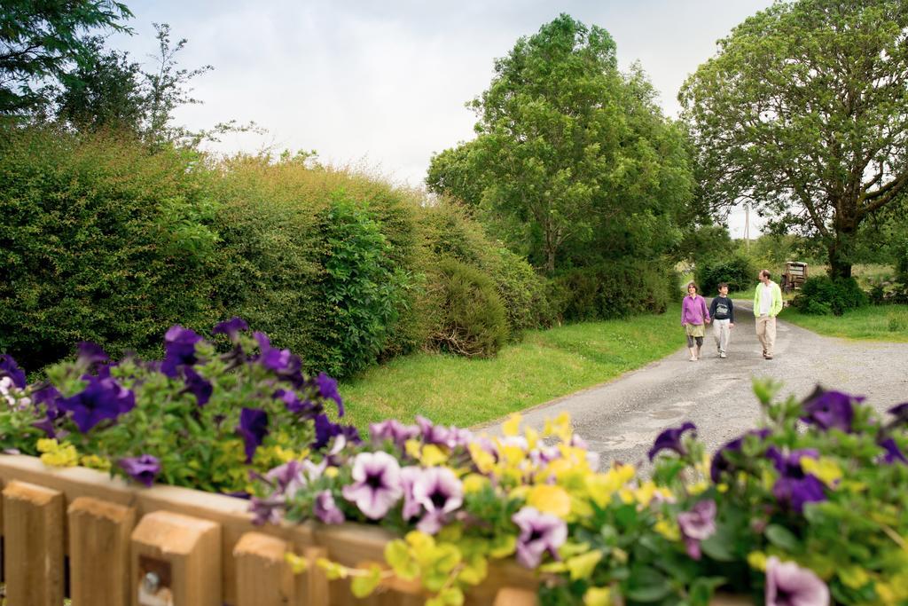 Burren Glamping Villa Kilfenora Екстериор снимка